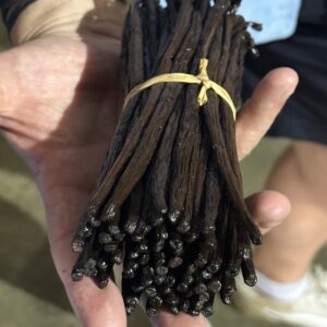 Gousses de vanille de madagascar - Good'Epices