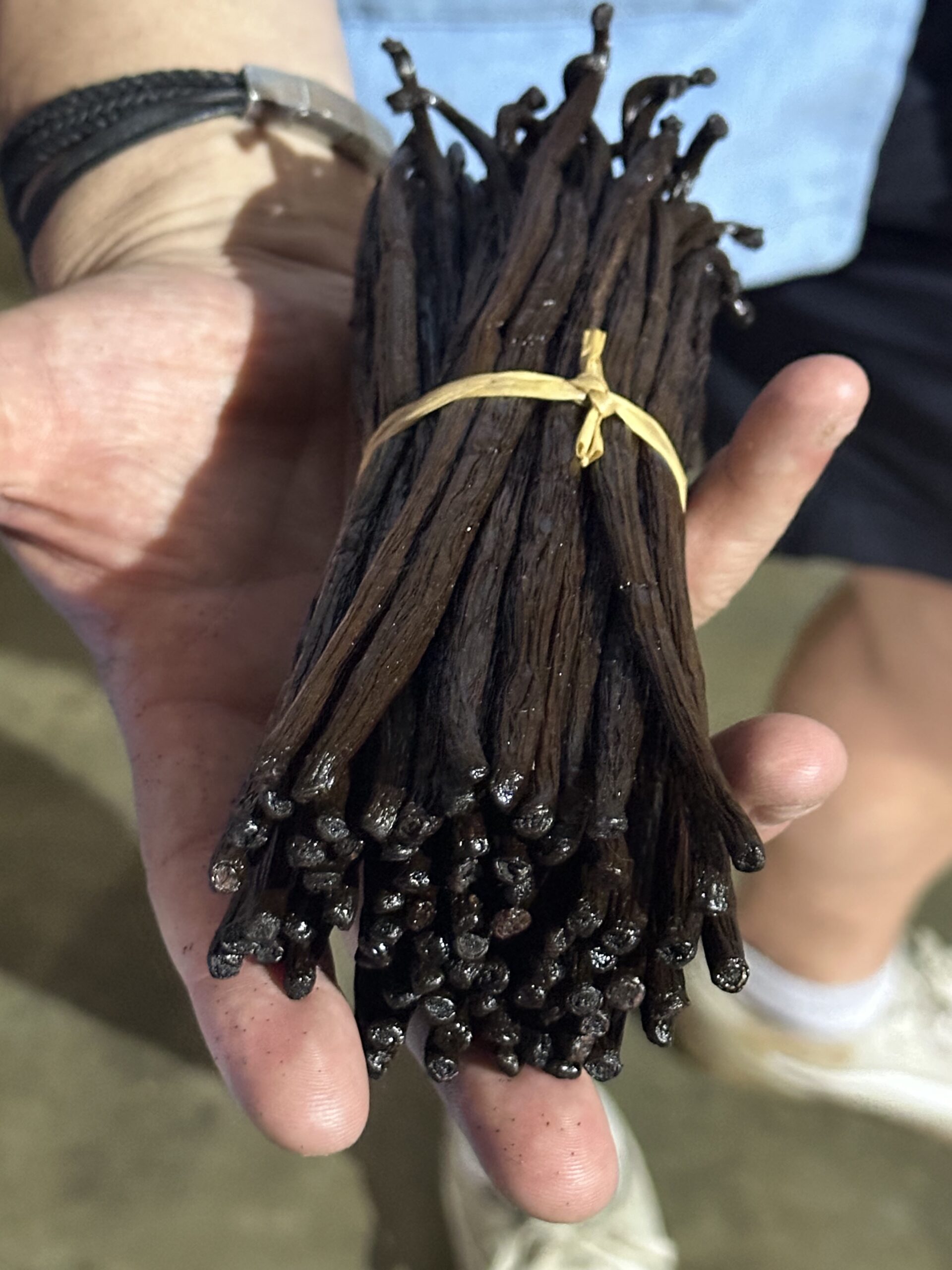 Gousses de vanille de madagascar - Good'Epices