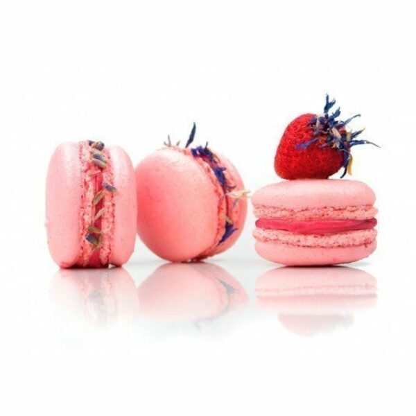 Albumine Albuwhip 500gr (Préco)