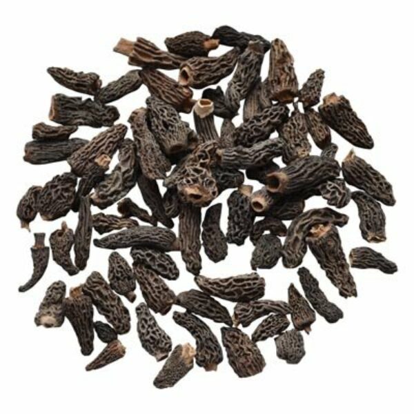 Mini Morille 6x 250gr (Préco)