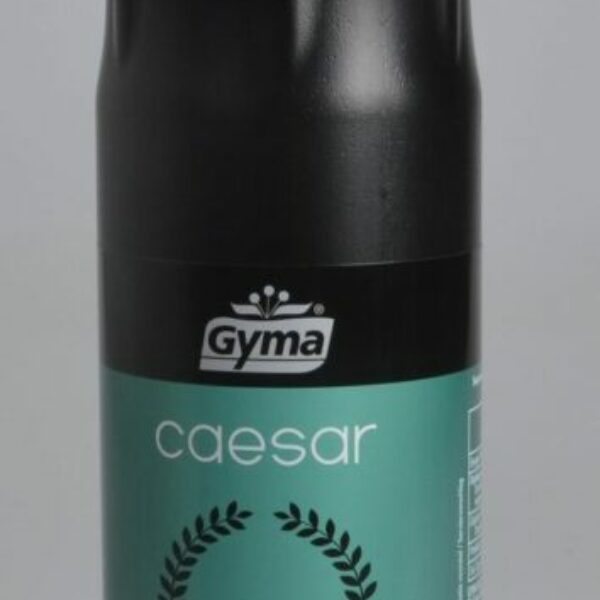 Flacon souple sauce Caesar 950gr