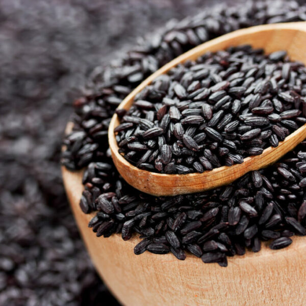 Riz Noir Italien 25kg