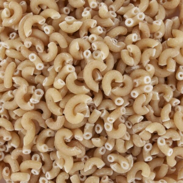 Coquillettes Bio de Normandie Sac de 7kg