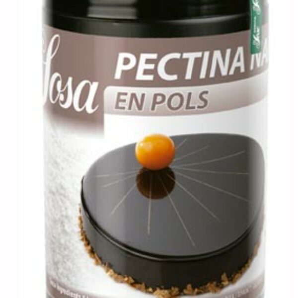 Pectine Nappage en poudre x58 500g (Préco)