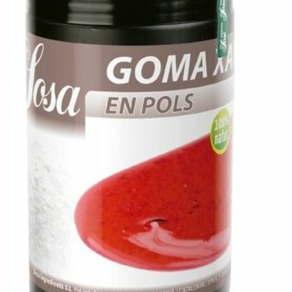 Gomme de Xanthane 500gr